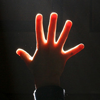 five fingers